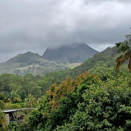 Ferienwohnung Horizon Des Pitons Salazie Exterior foto