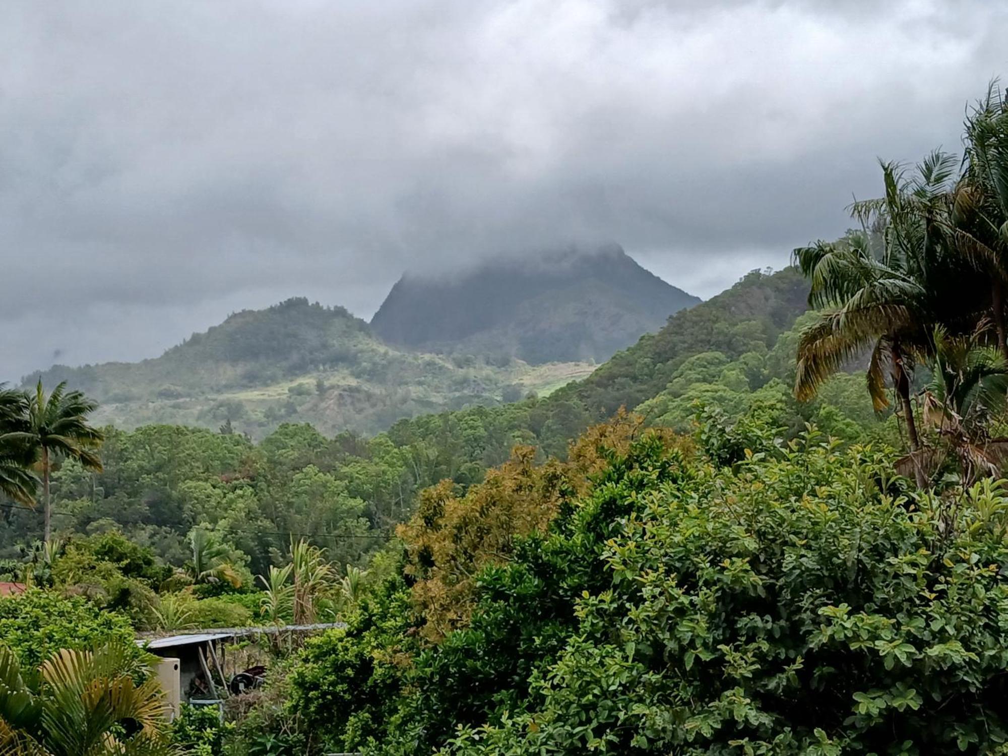 Ferienwohnung Horizon Des Pitons Salazie Exterior foto